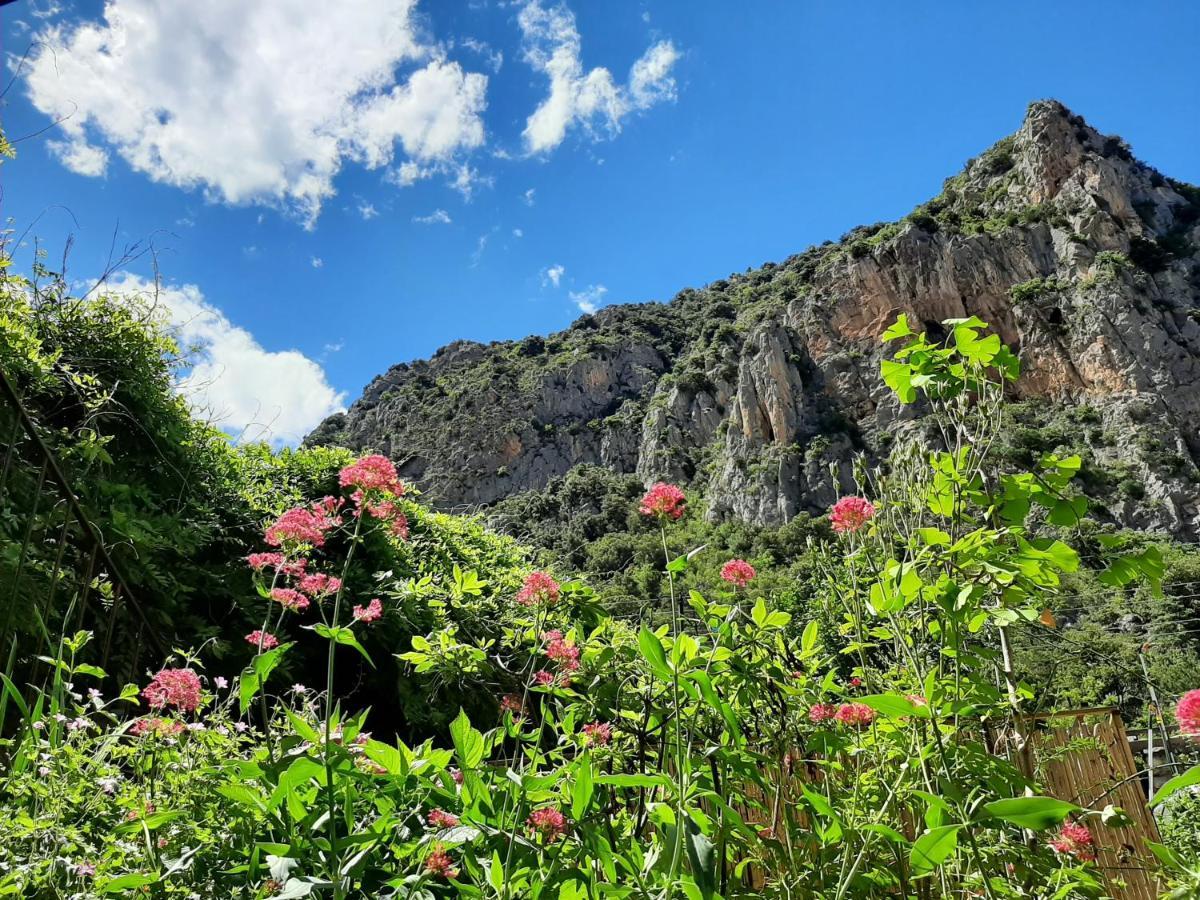 Les Chambres Chouettes Villefranche-de-Conflent Kültér fotó